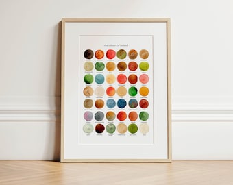 May include: Framed print titled "the colours of ireland" featuring a grid of colorful watercolor circles. The circles display a variety of hues, including shades of brown, green, blue, and red. The frame is a light wood color, and the print is displayed on a wooden surface.