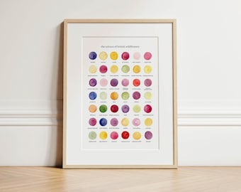 Die Farben der Britischen Wildblumen - Aquarell Druck