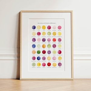 De kleuren van Britse wilde bloemen: aquarelprint
