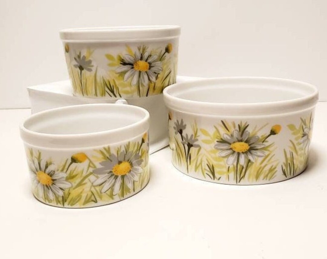 Fitz & Floyd Three Piece Ramekin Set - Etsy