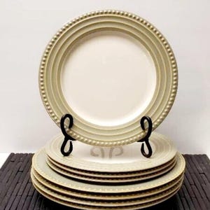 Reactic Sage Dinnerware by Dansk- Japan