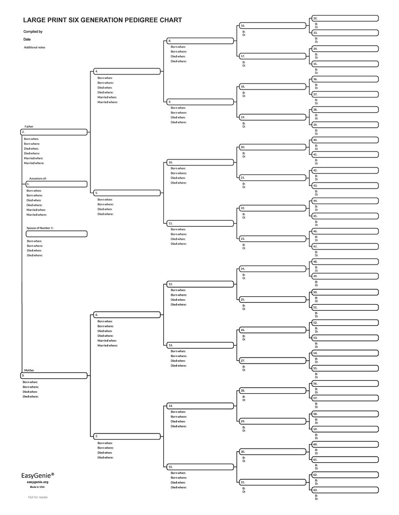 6-generation Professional Genealogy Template: LARGE PRINT, Large Format ...