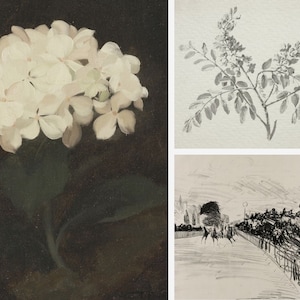 Puede incluir: Un collage de tres dibujos en blanco y negro. El primer dibujo es de una flor blanca con hojas verdes. El segundo dibujo es de una rama con hojas. El tercer dibujo es de un grupo de personas viendo una carrera de caballos.
