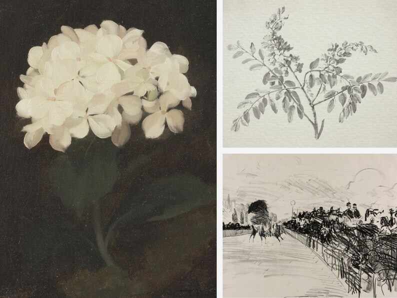 Puede incluir: Un collage de tres dibujos en blanco y negro. El primer dibujo es de una flor blanca con hojas verdes. El segundo dibujo es de una rama con hojas. El tercer dibujo es de un grupo de personas viendo una carrera de caballos.