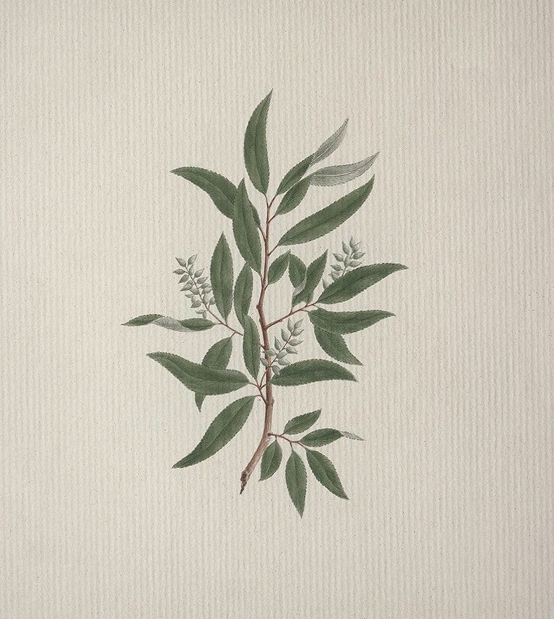 Cottage Decor Wall Art / Extra Large Gallery Wall / Large Wall Etsy