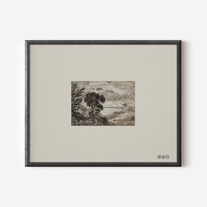 Puede incluir: Un dibujo en blanco y negro a pluma y tinta de un paisaje con un &aacute;rbol en primer plano y una masa de agua en el fondo. El dibujo est&aacute; enmarcado en un marco negro con un paspart&uacute; blanco y el n&uacute;mero #405 en la esquina inferior derecha.
