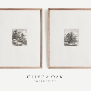 Set of Two Tree Etchings / Vintage Tree Drawings / Set of 2 Wall Art / Minimalist Decor / Neutral Aesthetic Art / G87