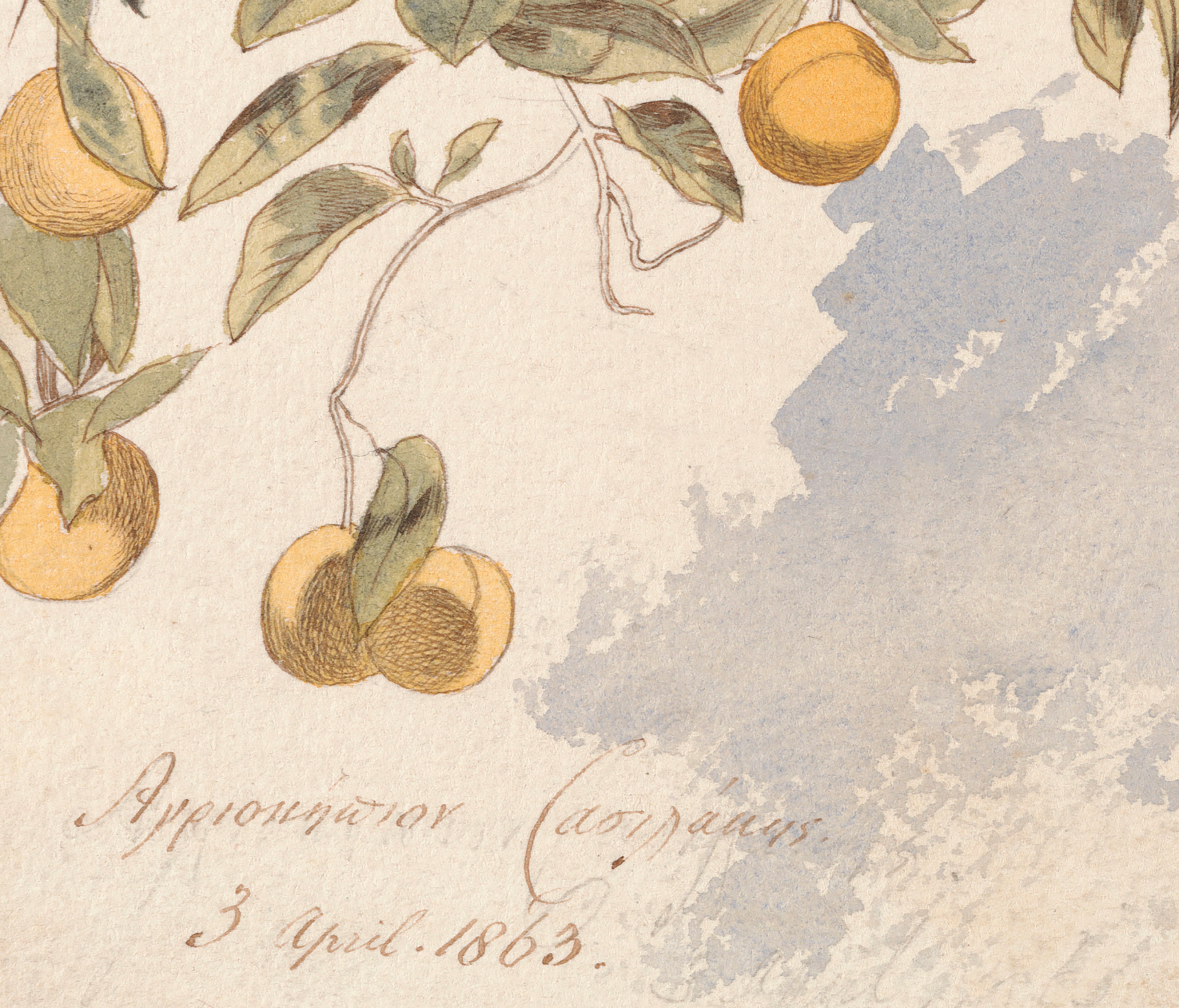 Farmhouse Kitchen Art Print / Vintage Botanical Lemon Painting ...