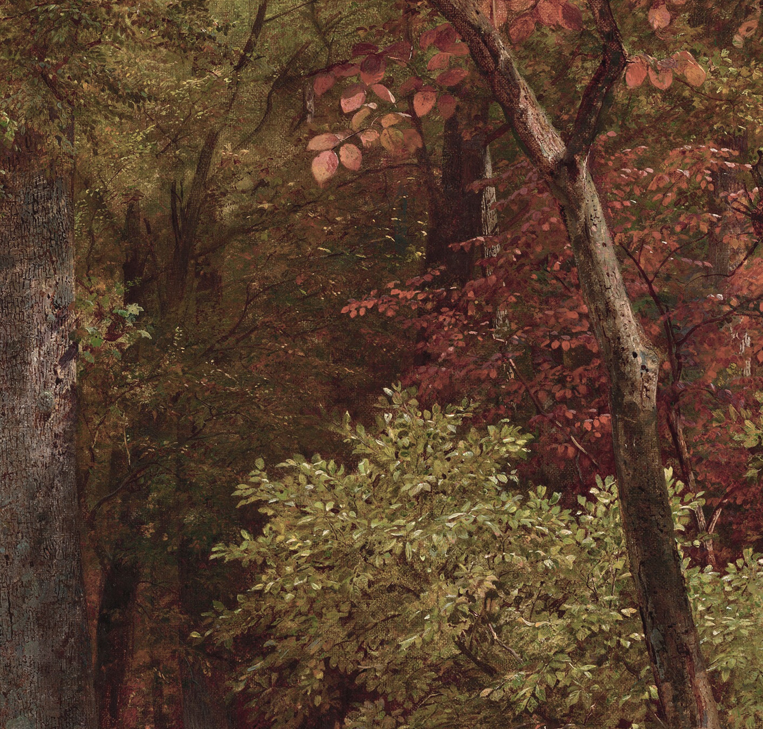 Autumn Forest Landscape Vintage Print / Fall Rustic Forest - Etsy