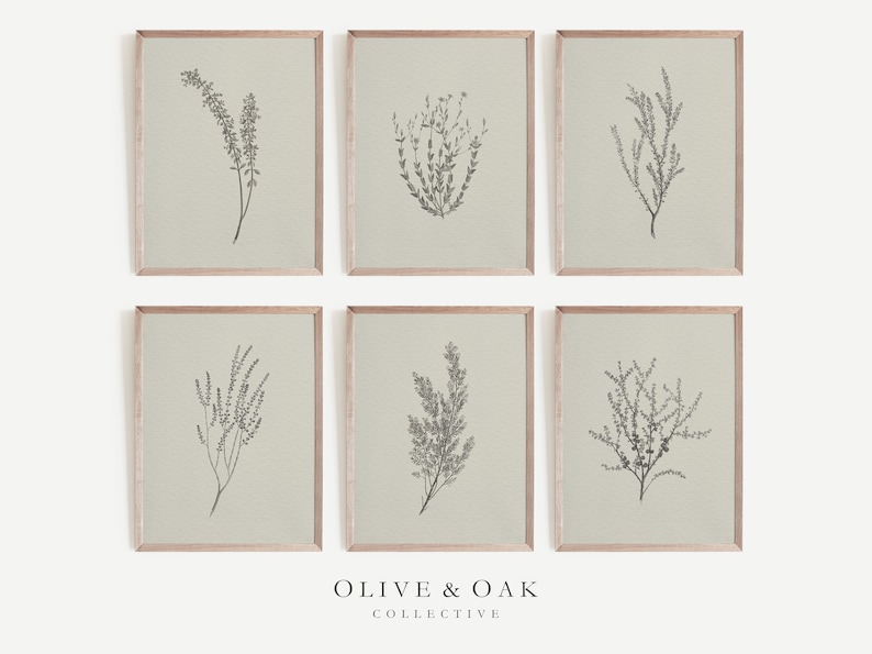 May include: Set of six botanical prints featuring black and white illustrations of various types of foliage on a light green background. The prints are framed in a light wood frame.