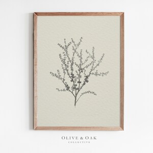 Neutral Artwork / Botanical Drawing / Antique Branch Sketch PRINTABLE / #445