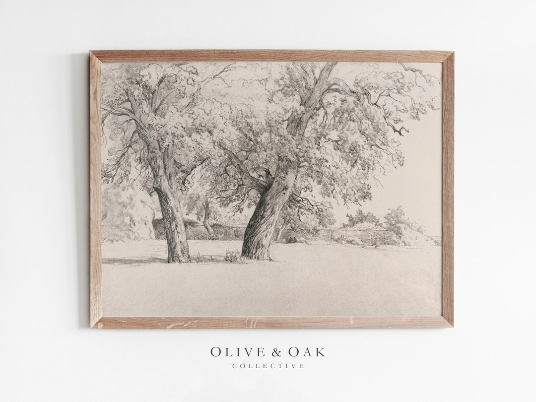 Antique Tree Sketch / Cottage Decor Wall Art / Printable Landscape