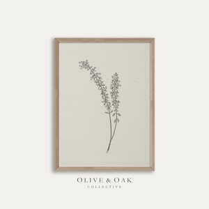 Może przedstawiać: Czarno-biała ilustracja botaniczna gałązki kwiat&oacute;w na jasnobeżowym tle. Druk jest oprawiony w jasną drewnianą ramę. Tekst "OLIVE & OAK COLLECTIVE" jest wydrukowany pod ramą.