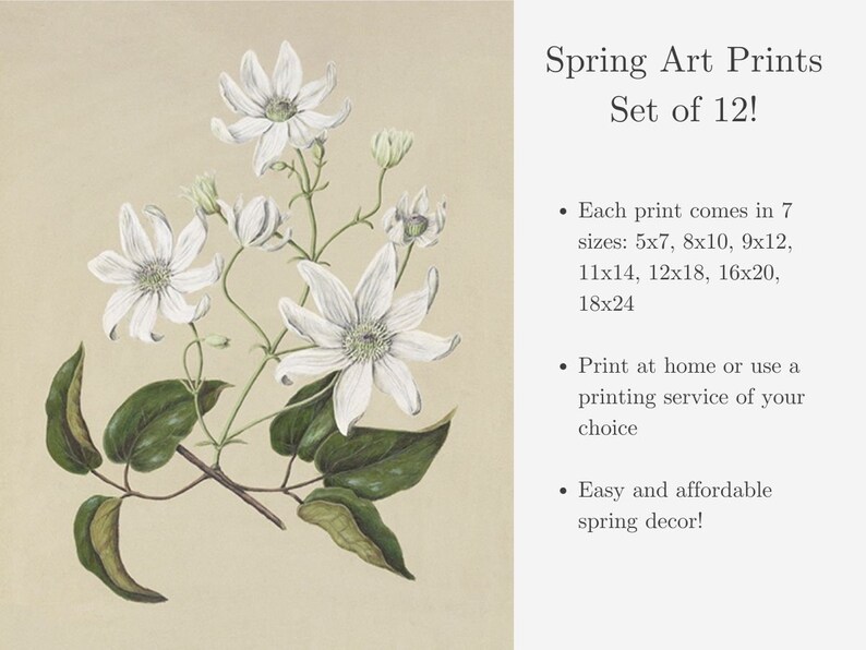 Set of 12 Spring Art Prints / Soft Pastel Artwork / Spring Wall Art ...