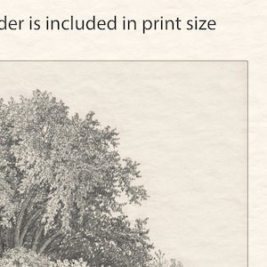 May include: A black and white pencil drawing of a tree with branches and leaves. The drawing is on a white background.