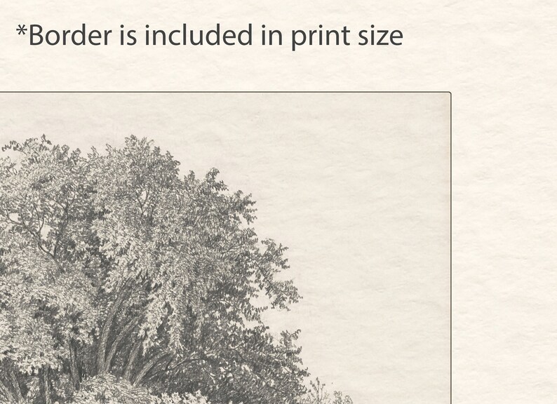 May include: A black and white pencil drawing of a tree with branches and leaves. The drawing is on a white background.