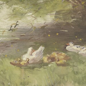 Puede incluir: Una pintura de acuarela de un grupo de patos nadando en un estanque. Los patos son blancos y marrones, y el estanque est&aacute; rodeado de hierba verde.