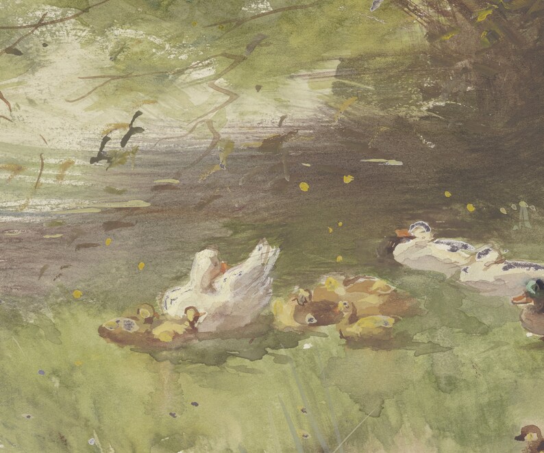 Puede incluir: Una pintura de acuarela de un grupo de patos nadando en un estanque. Los patos son blancos y marrones, y el estanque est&aacute; rodeado de hierba verde.