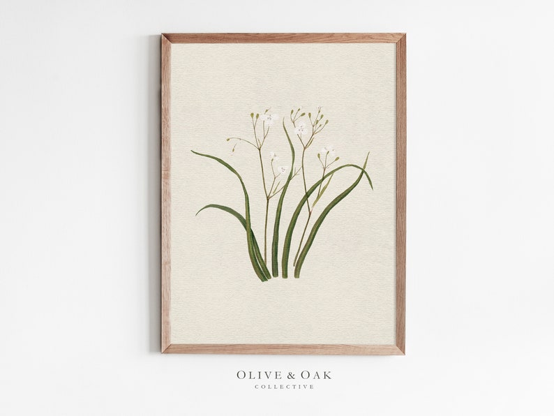 Botanical Wall Art SET of Four / Set of 4 Vintage Prints / Farmhouse ...