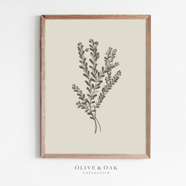 Neutral Wall Art / Botanical Branch Drawing / Simple Artwork PRINTABLE / Downloadable Flower Print / #486