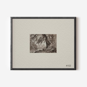May include: A black and white pen and ink drawing of a tree in a woodland setting. The drawing is framed in a black frame with a white mount. The frame has the number "#322" in the bottom right corner.