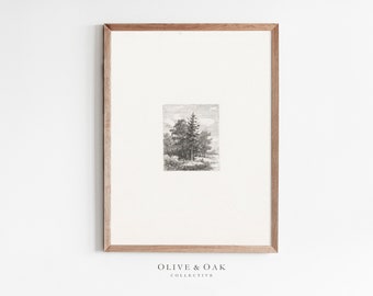 Vintage Tree Etching / Neutral Tree Drawing / Neutral Aesthetic Wall Art / Neutral Sketch Art / #640