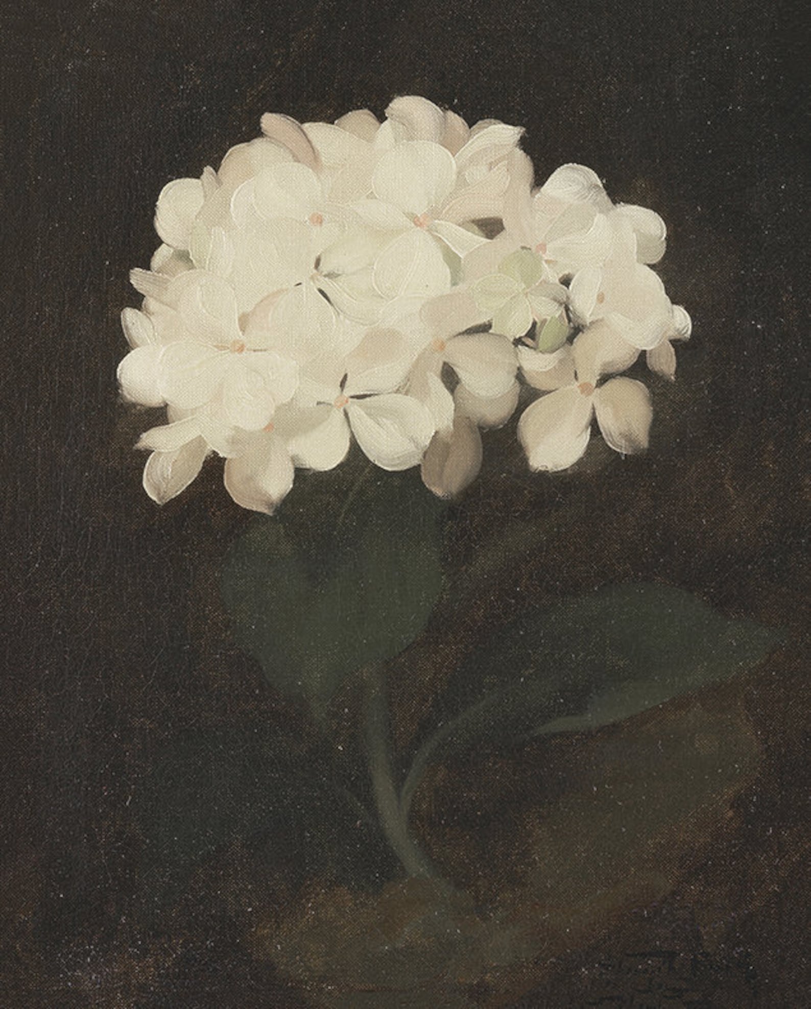 Cottage Decor Wall Art / Extra Large Gallery Wall / Large Wall Etsy