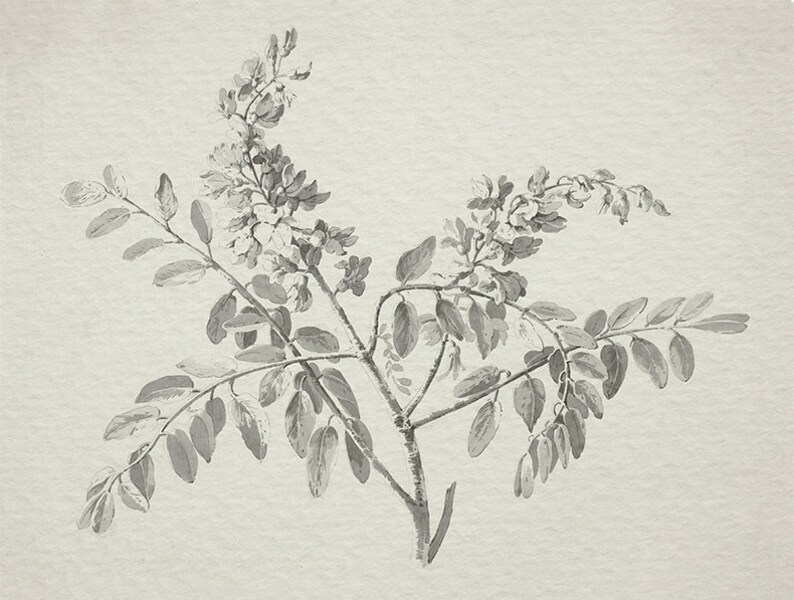 Cottage Decor Wall Art / Extra Large Gallery Wall / Large Wall Etsy