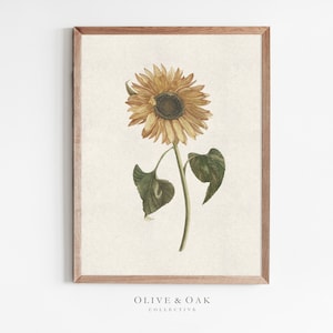 Tournesol Botanical Art Print / Tournesol Dessin / Neutral Fall Wall Art / Autumn Decor PRINTABLE / #603