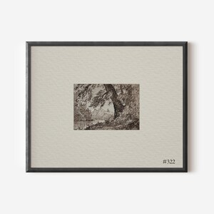 Puede incluir: Un dibujo en blanco y negro a pluma y tinta de un &aacute;rbol en un entorno boscoso. El dibujo est&aacute; enmarcado en un marco negro con un paspart&uacute; blanco. El marco tiene el n&uacute;mero "#322" en la esquina inferior derecha.