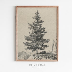 Vintage Neutral Tree Sketch Print / Rustic Spruce Tree Drawing PRINTABLE / #314