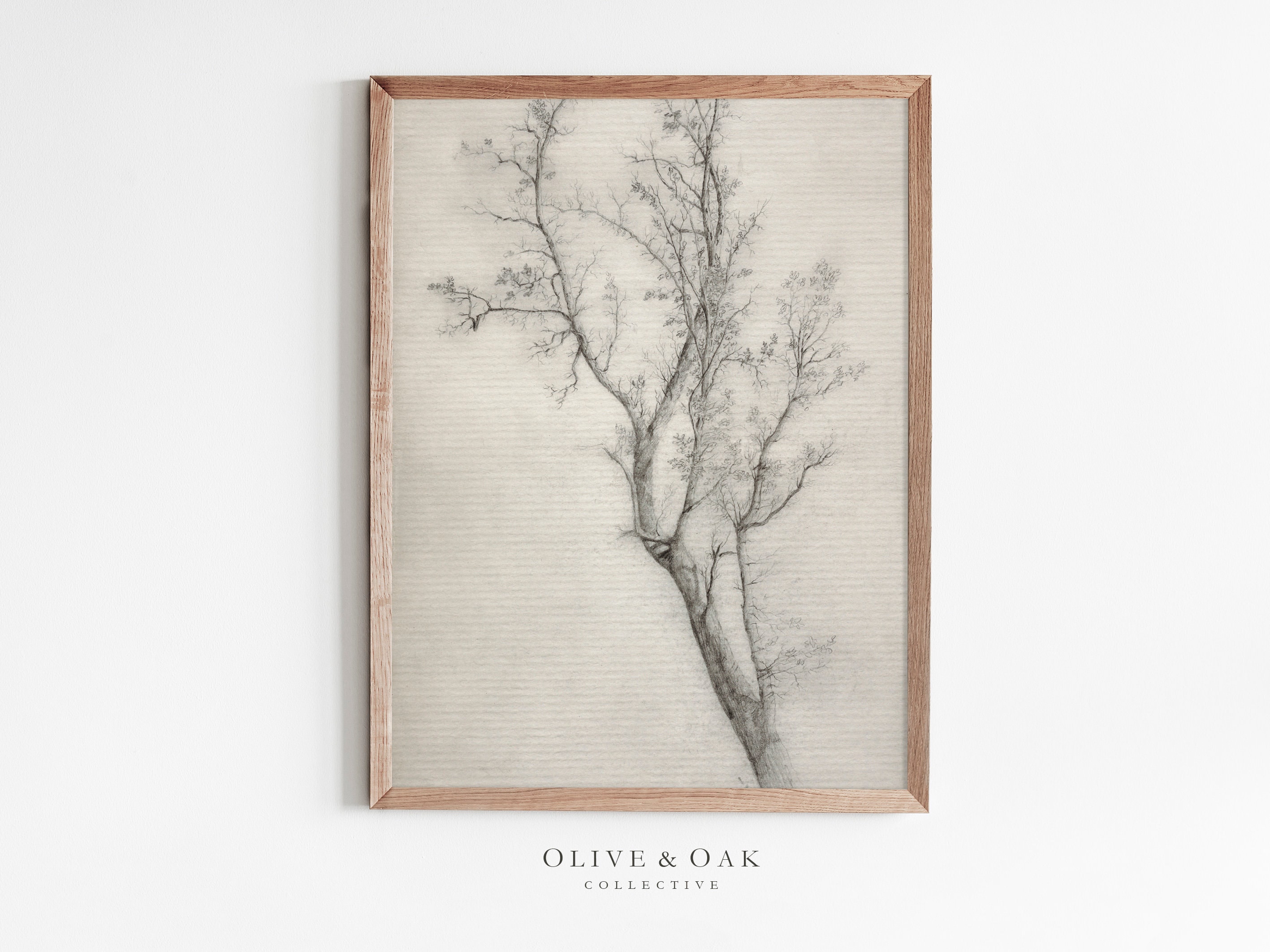 Neutral Tree Sketch / Rustic Tree Branch Drawing Print / Botanical ...