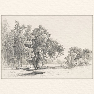 May include: A black and white pencil drawing of a rural landscape with a farmhouse in the distance. The drawing features a group of trees in the foreground, a fence, and a grassy field.