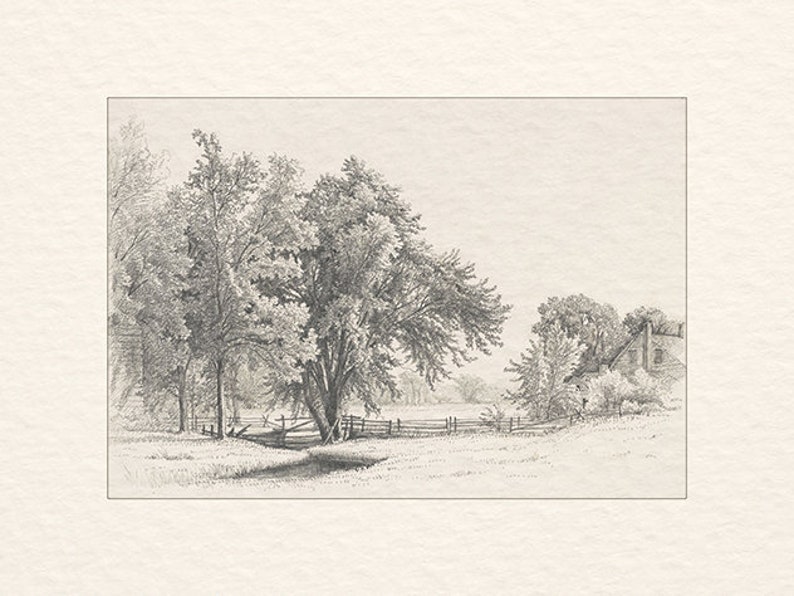 May include: A black and white pencil drawing of a rural landscape with a farmhouse in the distance. The drawing features a group of trees in the foreground, a fence, and a grassy field.