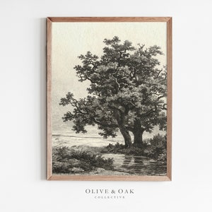 Könnte beinhalten: Eine Schwarzweiß-Vintage-Illustration eines großen Baumes mit einem kleinen Bach davor. Der Baum befindet sich in der Mitte des Bildes und der Bach im Vordergrund. Das Bild ist in einem hellbraunen Holzrahmen gerahmt.