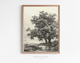 Vintage Tree Etching / Neutral Wall Art / Vintage Tree Sketch / Downloadable Prints / PRINTABLE Wall Art / #641