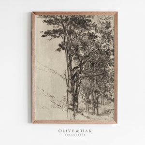 Puede incluir: Un dibujo en blanco y negro de un grupo de &aacute;rboles en un bosque. El dibujo est&aacute; enmarcado en un marco de madera marr&oacute;n claro.