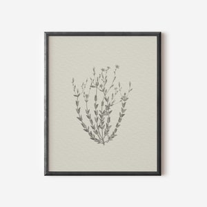 May include: A black and white botanical illustration of a delicate flower with small petals and leaves in a black frame.