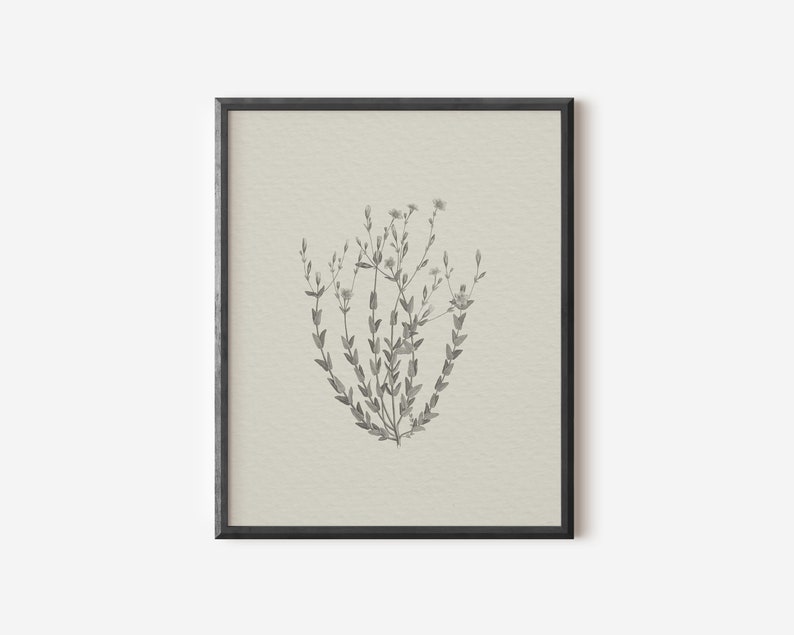 May include: A black and white botanical illustration of a delicate flower with small petals and leaves in a black frame.