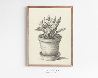 Boceto botánico Impresión vintage / Dibujo de flores antiguas Granja IMPRIMIBLE / #40