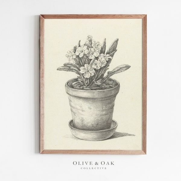 Botanical Sketch Vintage Print / Antique Flower Drawing Farmhouse PRINTABLE / #40