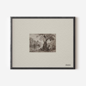 May include: A black and white pen and ink drawing of a tree in a landscape setting. The drawing is framed in a black frame with a white mount. The number #404 is printed in the bottom right corner of the frame.