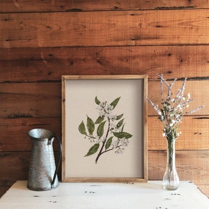 May include: A framed botanical print of a white flowering branch with green leaves on a beige background. The frame is brown wood and the print is sitting on a white surface.