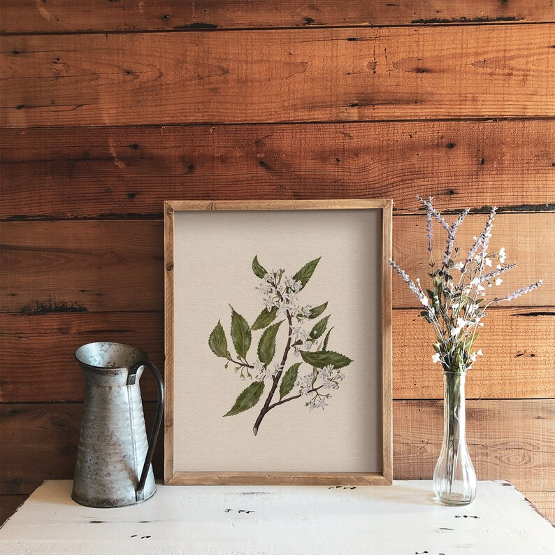 May include: A framed botanical print of a white flowering branch with green leaves on a beige background. The frame is brown wood and the print is sitting on a white surface.
