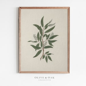 Vintage Botanical Tree Branch Print / Country Farmhouse Decor PRINTABLE / #251
