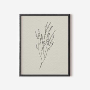 May include: A black and white line drawing of a sprig of delicate flowers in a simple black frame on a light beige background.