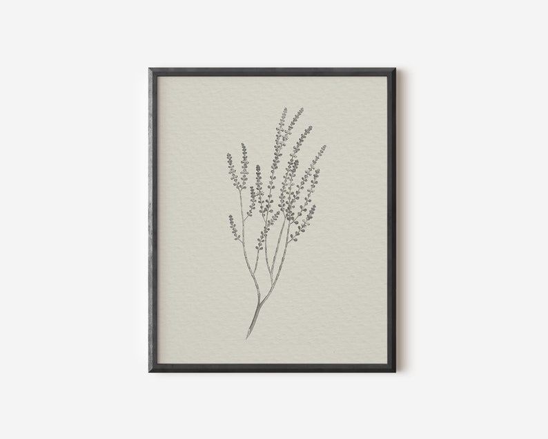 May include: A black and white line drawing of a sprig of delicate flowers in a simple black frame on a light beige background.