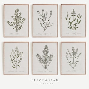 Impressões de arte com ervas / Arte de parede verde-sálvia / Impressão de arte com plantas / Arte de parede para cozinha / Conjunto de impressões de arte botânica / Galeria de arte de parede para cozinha / G90