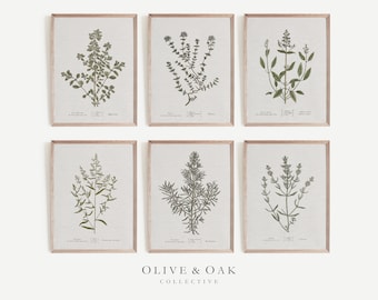 Kruidenkunstprints / Saliegroen muurkunst / Plant Art Print / Keukenmuurkunst / Botanische kunstprint SET / Keuken muurkunst GALERIJ / G90
