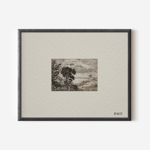 May include: A black and white pen and ink drawing of a landscape with a tree in the foreground and a body of water in the background. The drawing is framed in a black frame with a white mount and the number #405 printed in the bottom right corner.